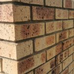 Face Brick vs. Plaster and Paint: Which is Better for Your Budget?