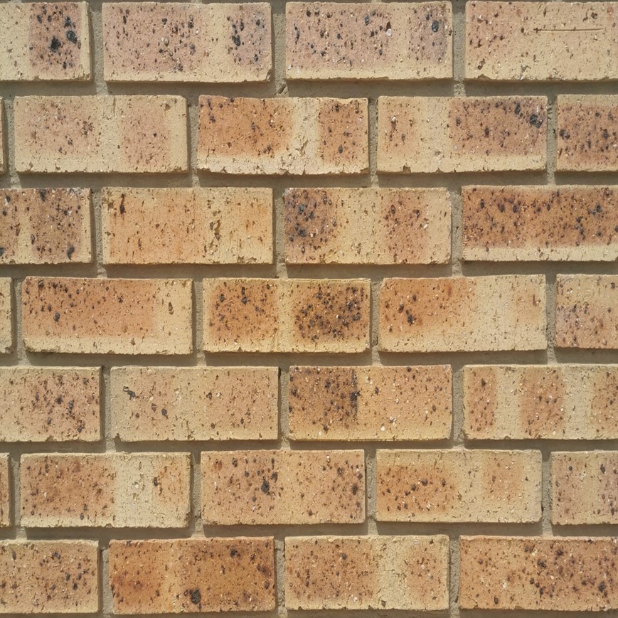 Advantages and Disadvantages of Face Bricks | Dezyno Bricks