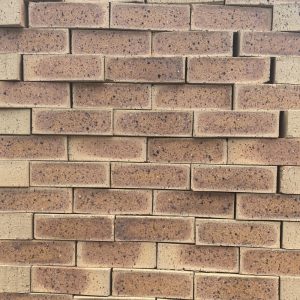 Country Manor Travertine Face Brick supplied by Dezyno Bricks – High-quality, durable bricks for building and paving