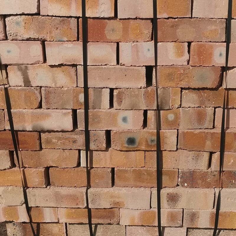 NFP Clay Plaster Brick featuring a rough texture designed for structural walling and budget-friendly plaster applications.
