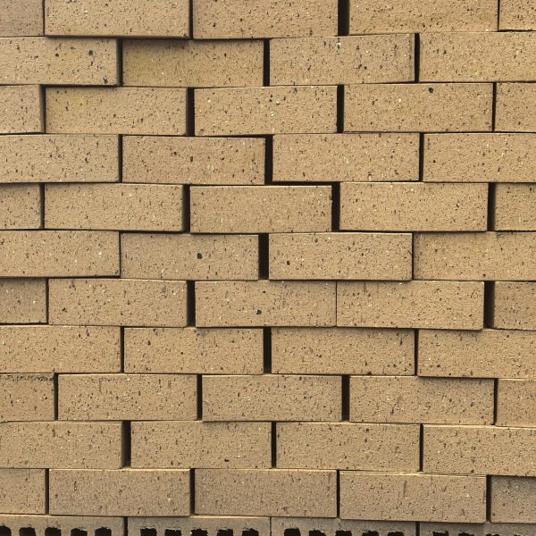 Buff Travertine Blend Face Brick featuring a vibrant yellow clay color profile and a deeply textured travertine finish for premium residential, commercial, and industrial construction.