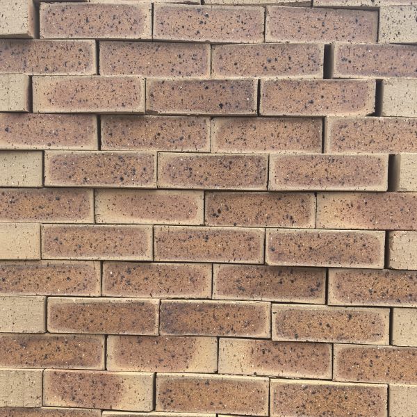 Country Manor Travertine Face Brick featuring a classic yellow clay tone with an orange burn and a rugged travertine finish for premium residential and commercial property walls.