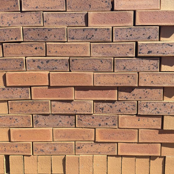 Nala Satin Dark Face Brick featuring a vibrant yellow clay base with a striking dark blue-burnt flash and a smooth satin texture for contemporary architectural designs.