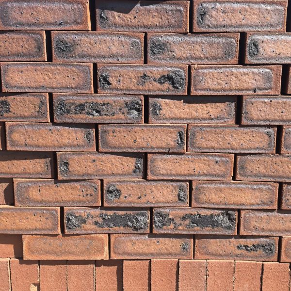 Rusty Blend Satin Dark Face Brick featuring a rich red base with a striking black and red-burnt face and a sleek, smooth satin finish for contemporary building facades.