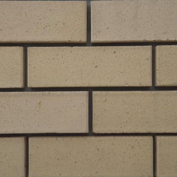 Close-up of Ivory Satin face bricks laid in a wall section with dark mortar joints showing fine speckled texture and uniform cream tone.