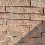 Front-on view of stacked Montana Travertine face bricks showing warm terracotta-peach clay body, pitted travertine texture, and subtle charcoal-grey central flashing.