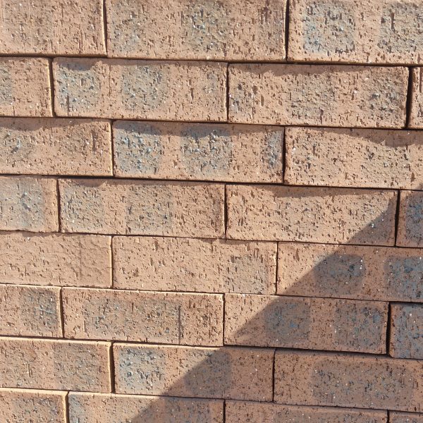 Front-on view of stacked Montana Travertine face bricks showing warm terracotta-peach clay body, pitted travertine texture, and subtle charcoal-grey central flashing.