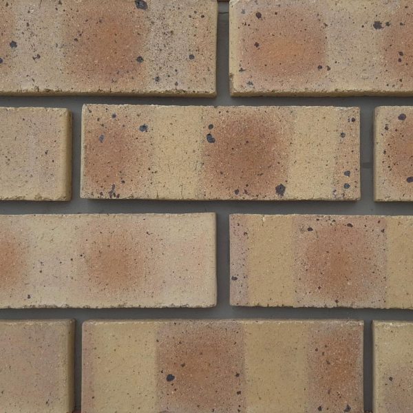 Close-up of Nkwe Satin face bricks laid in a wall panel with grey mortar joints showing smooth satin texture, warm terracotta-buff tones, and dark manganese spots.