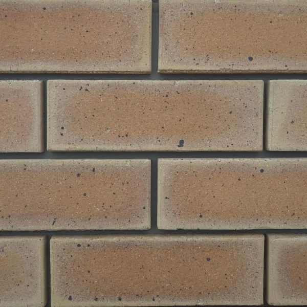 Macro close-up of Sunrise Satin clay face bricks laid with mortar joints detailing smooth texture, golden-apricot tones, and fine iron spot speckling.
