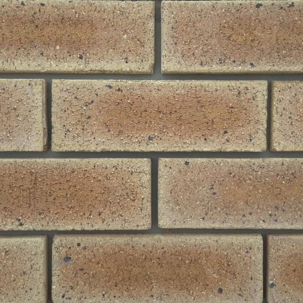 Close-up of Sunrise Travertine face bricks laid in a wall panel with grey mortar joints showing pitted travertine texture, warm apricot-golden hues, and iron spots.