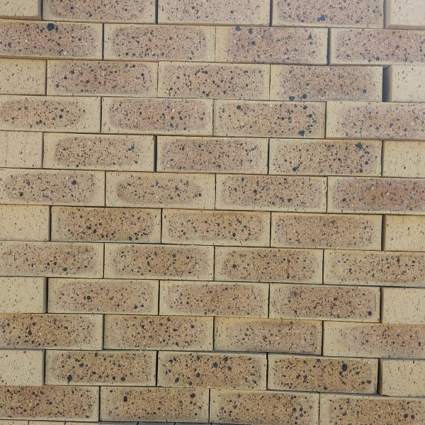 Front-on view of stacked Topaz Travertine face bricks showing pitted travertine surface texture, light golden-buff clay body, warm tan heat-flashed reduction centers, and heavy dark iron speckling.